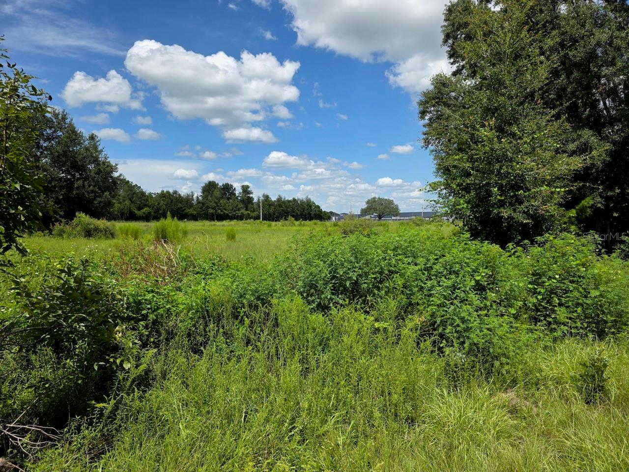 2351 Ne Highway 41 Property Photo 6