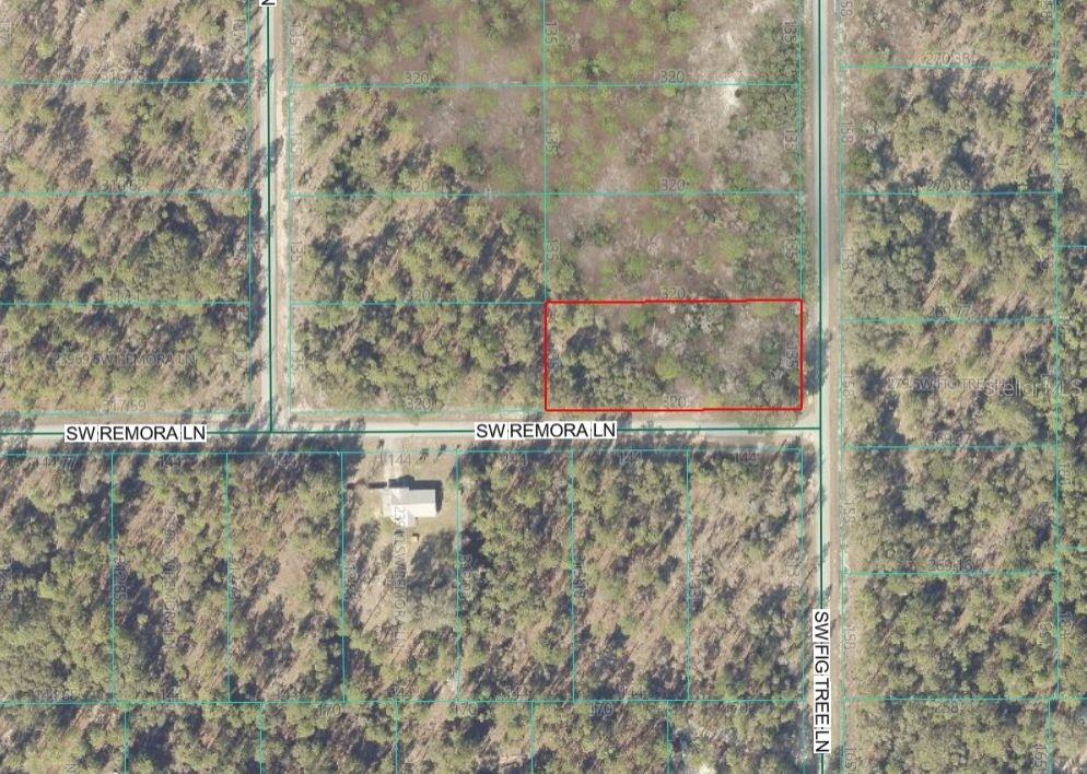 Lot 10 Sw Fig Tree Ln Property Photo 2
