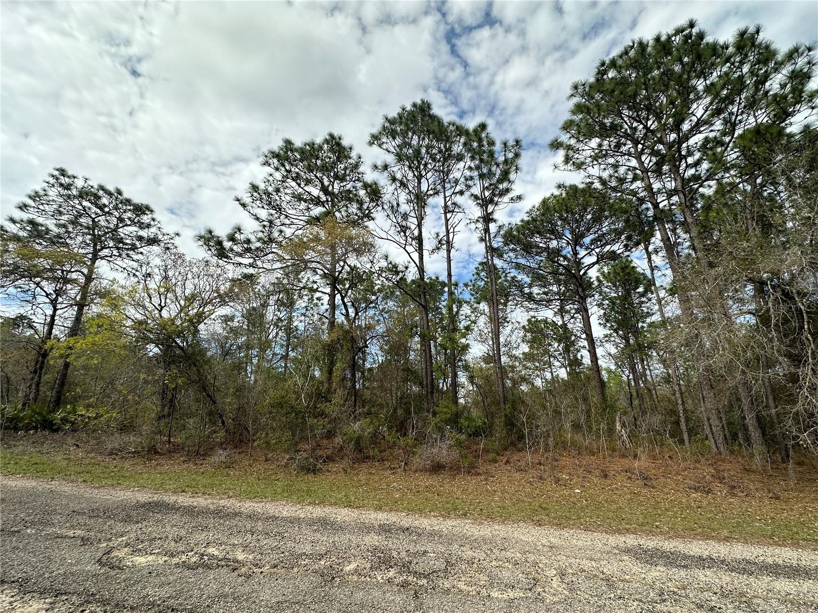 1639 W Pendleton St Property Photo 2