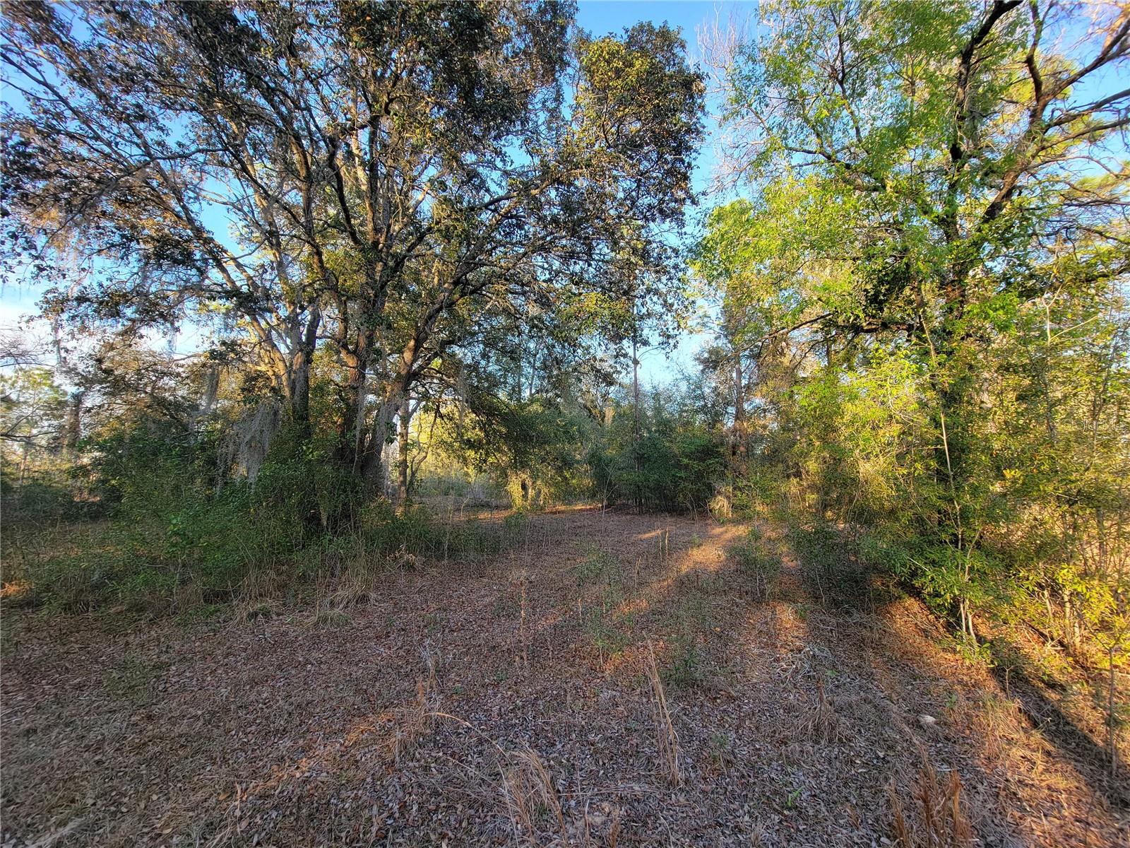0 Ne 20th St Property Photo 1