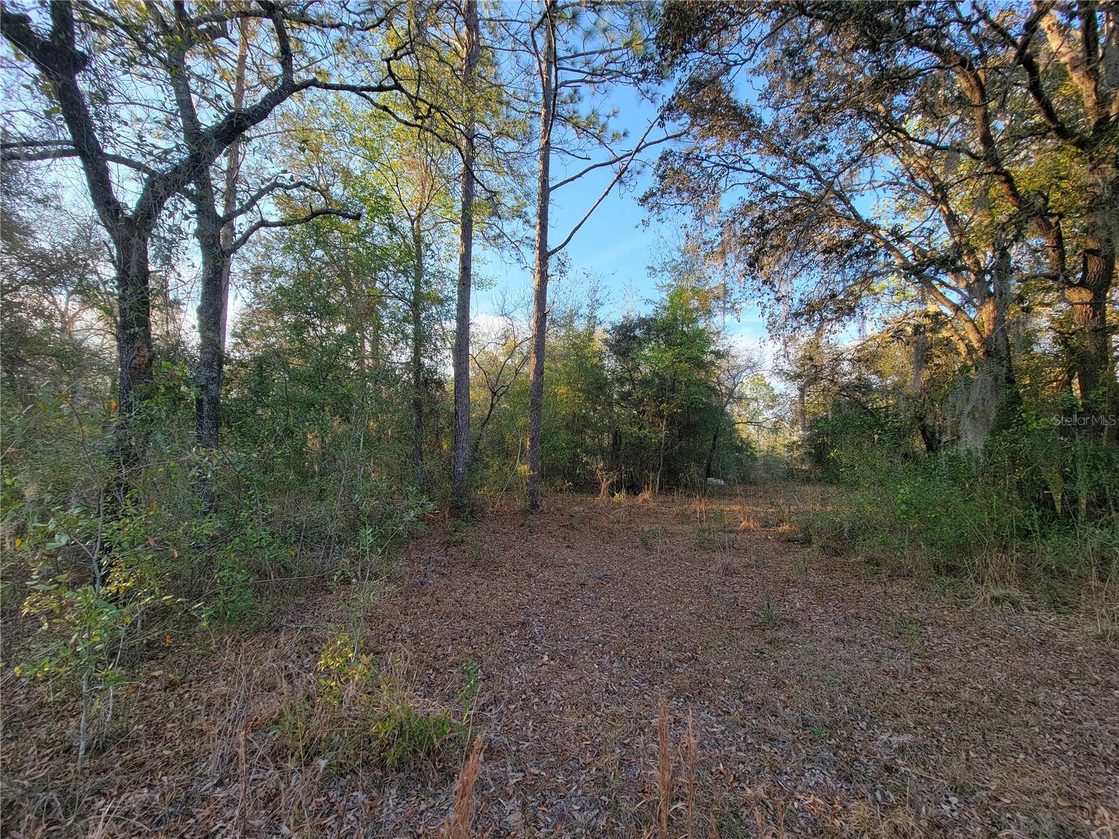 0 Ne 20th St Property Photo 12