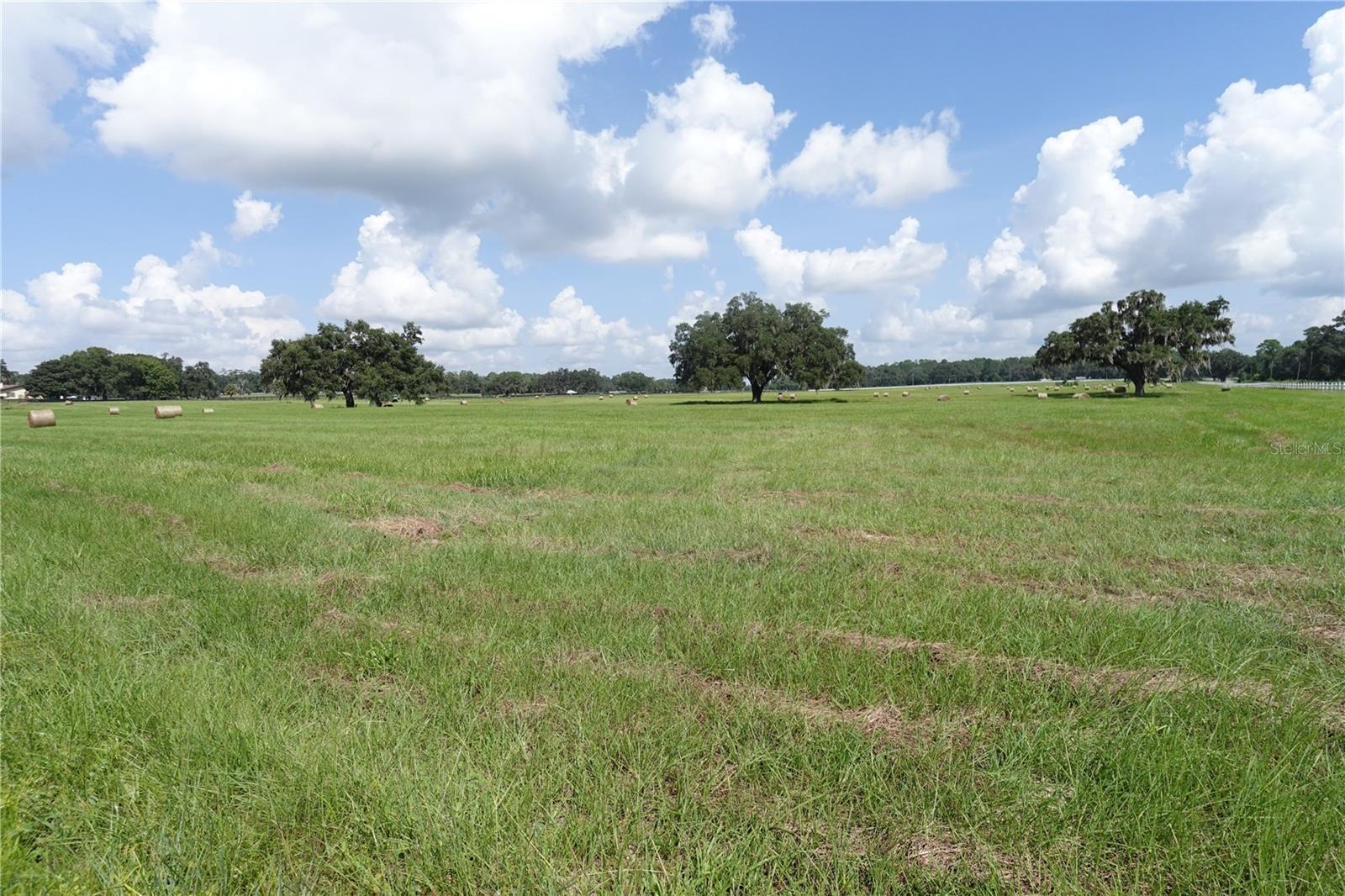 12750 W Highway 40 W Property Photo 8