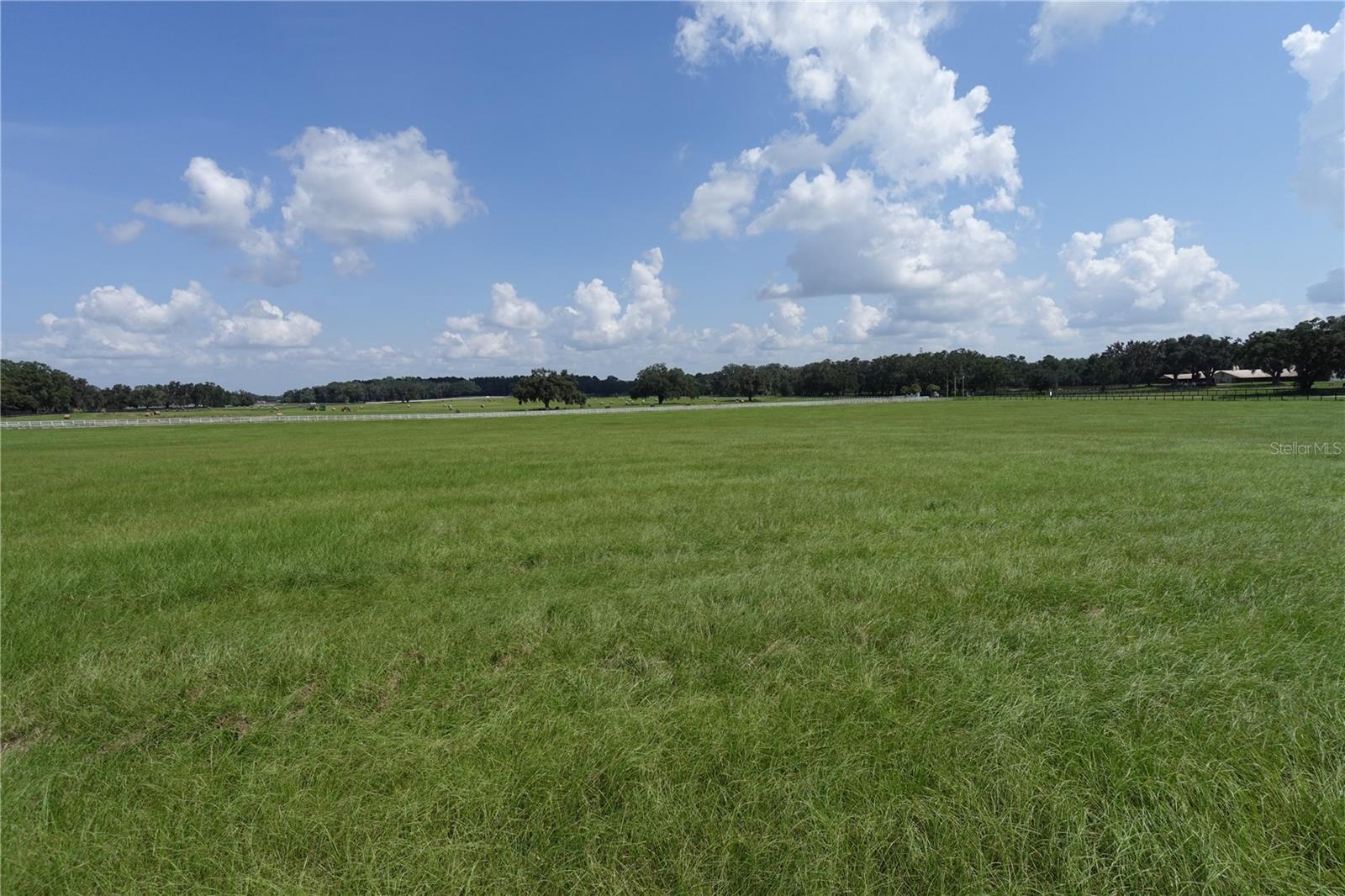 12750 W Highway 40 W Property Photo 9