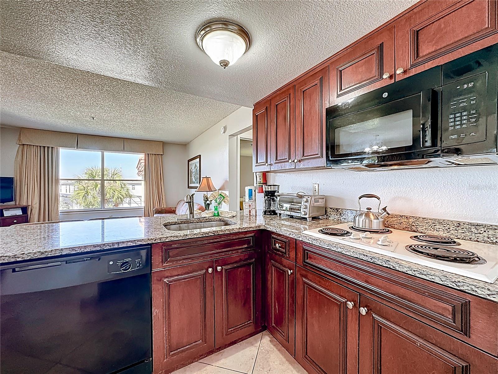 6337 Parc Corniche Dr #2304 Property Photo 12