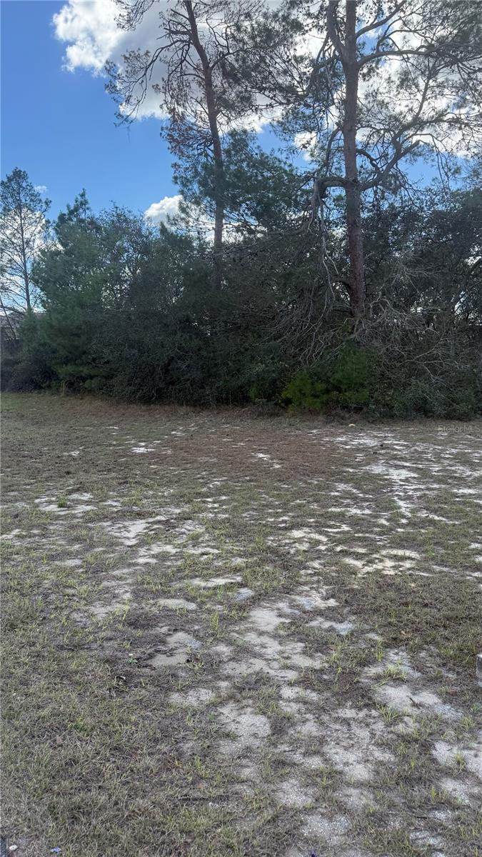 Tbd Sw 40th Cir Property Photo 1