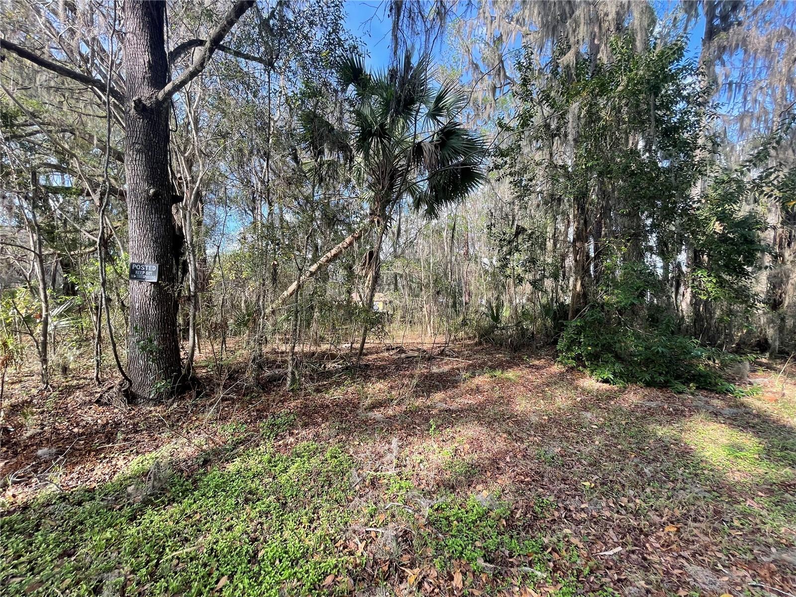 Tbd Se 40th Loop Property Photo 1