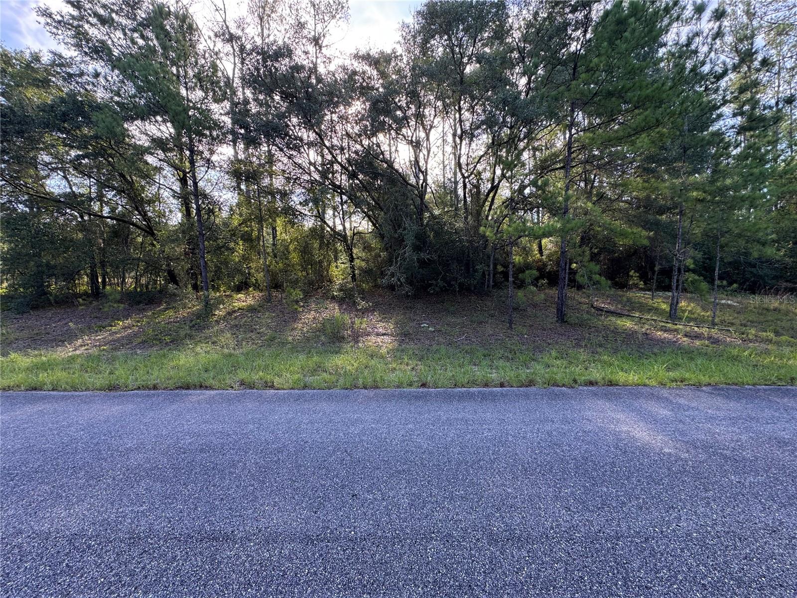 1273 E Toledo Dr Property Photo 2