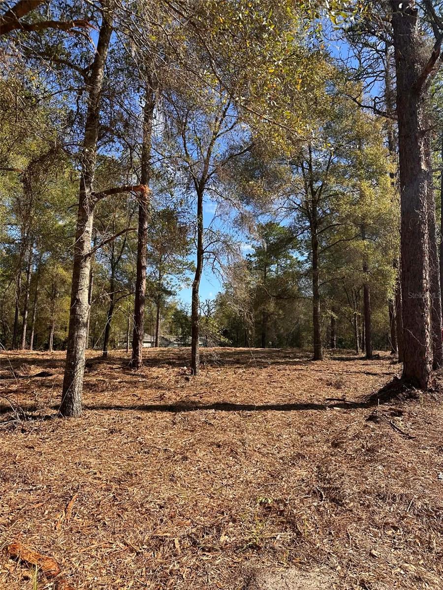 0 W Hwy 40 Property Photo 5