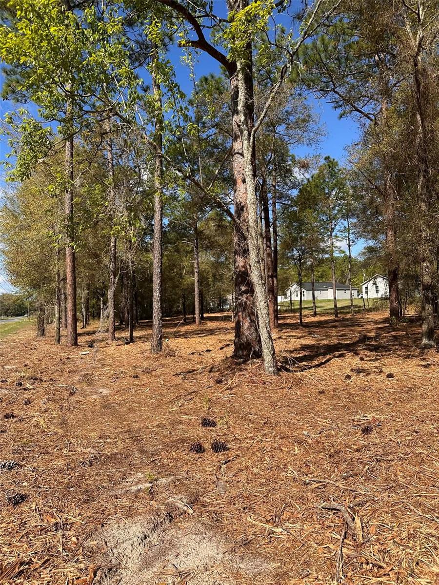 0 W Hwy 40 Property Photo 7