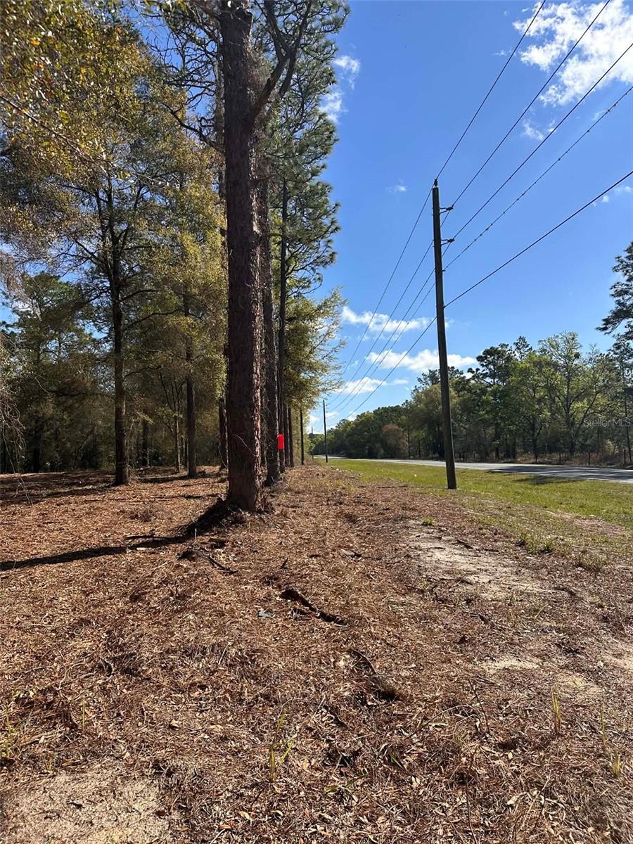 0 W Hwy 40 Property Photo 8