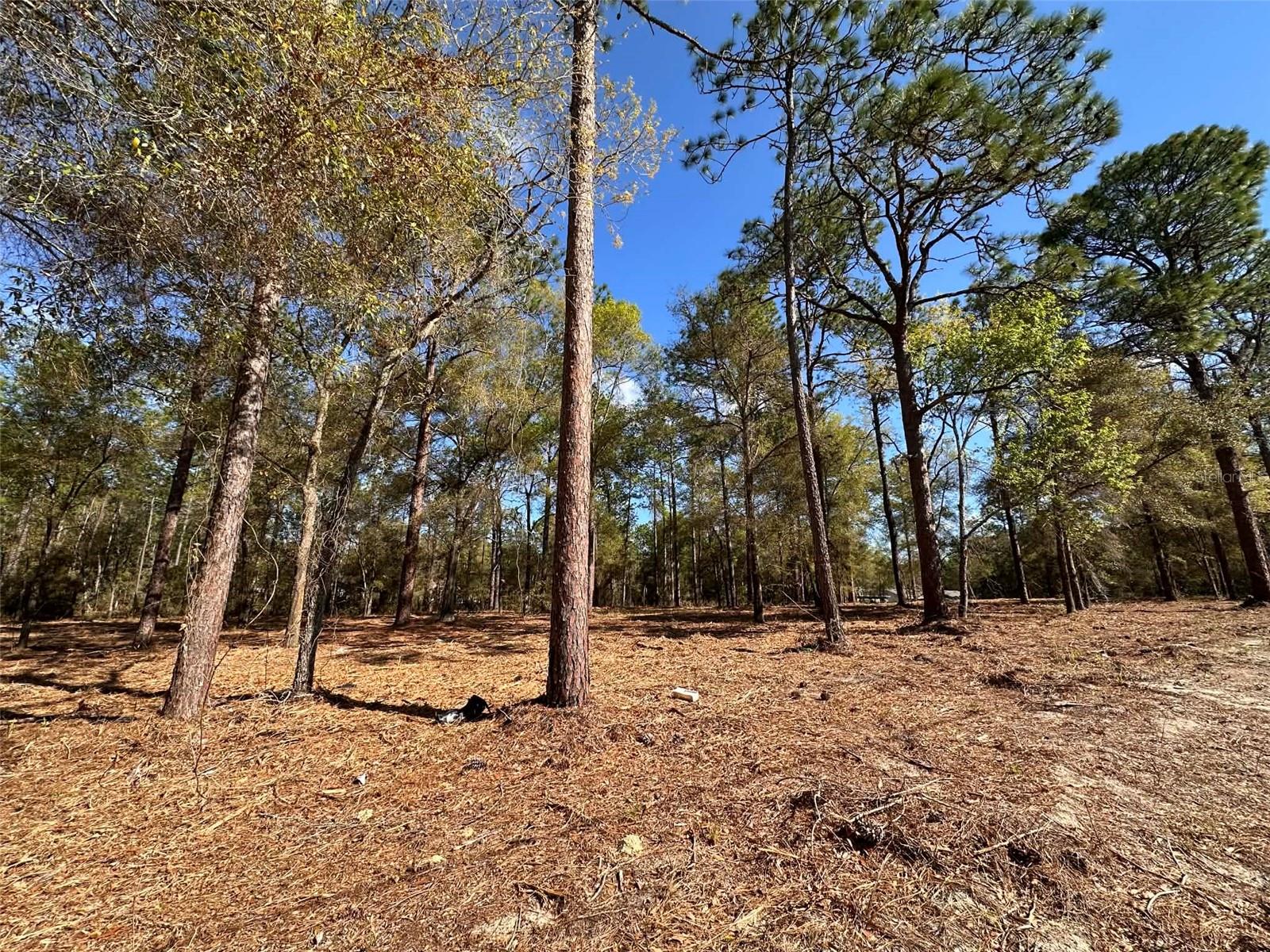 0 W Hwy 40 Property Photo 11