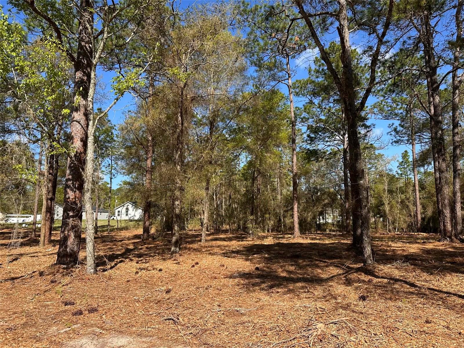 0 W Hwy 40 Property Photo 4