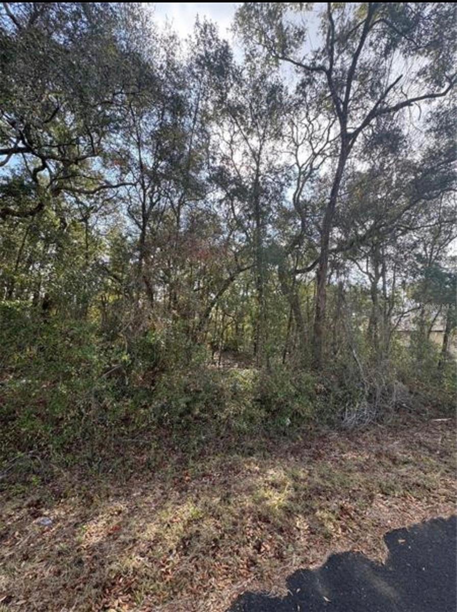 Tbd Locust Loop Ter Property Photo 1