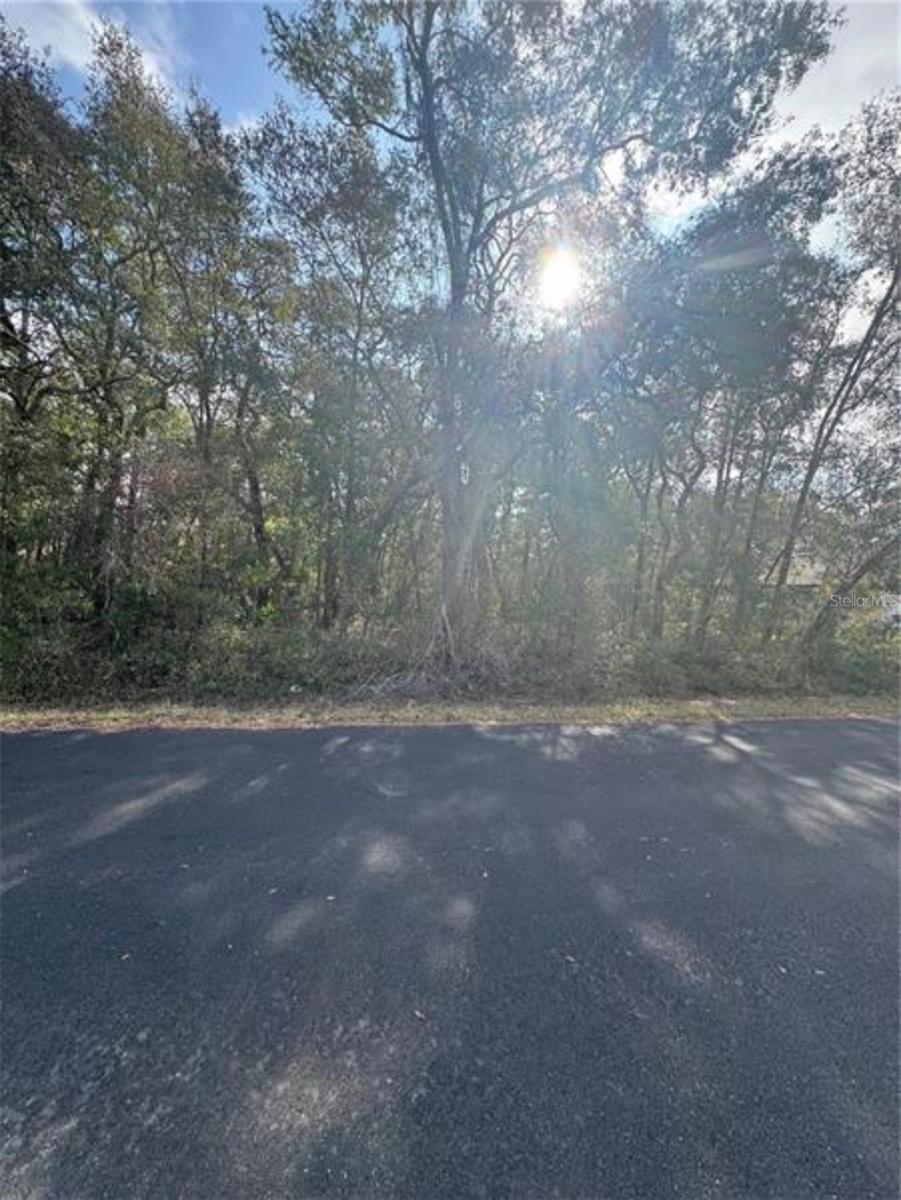 Tbd Locust Loop Ter Property Photo 2