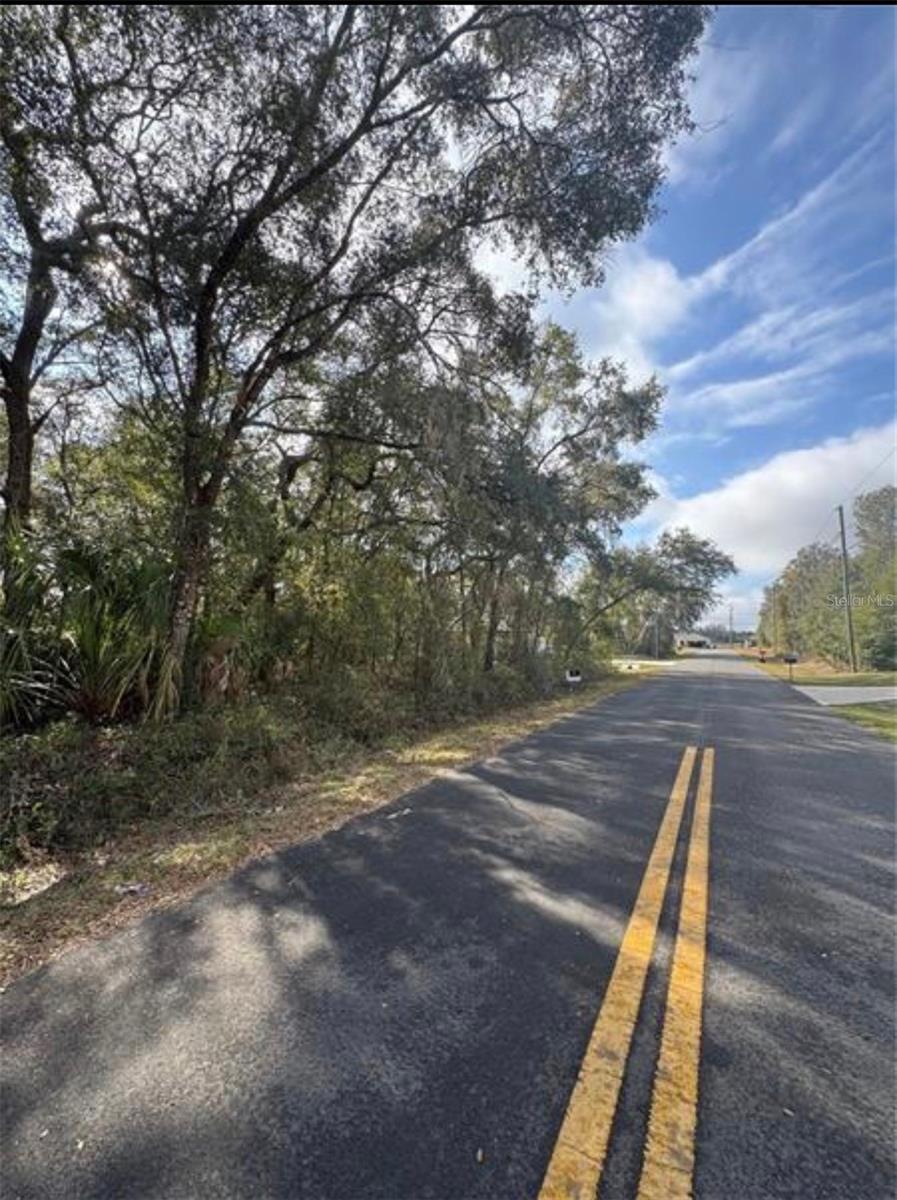 Tbd Locust Loop Ter Property Photo 5