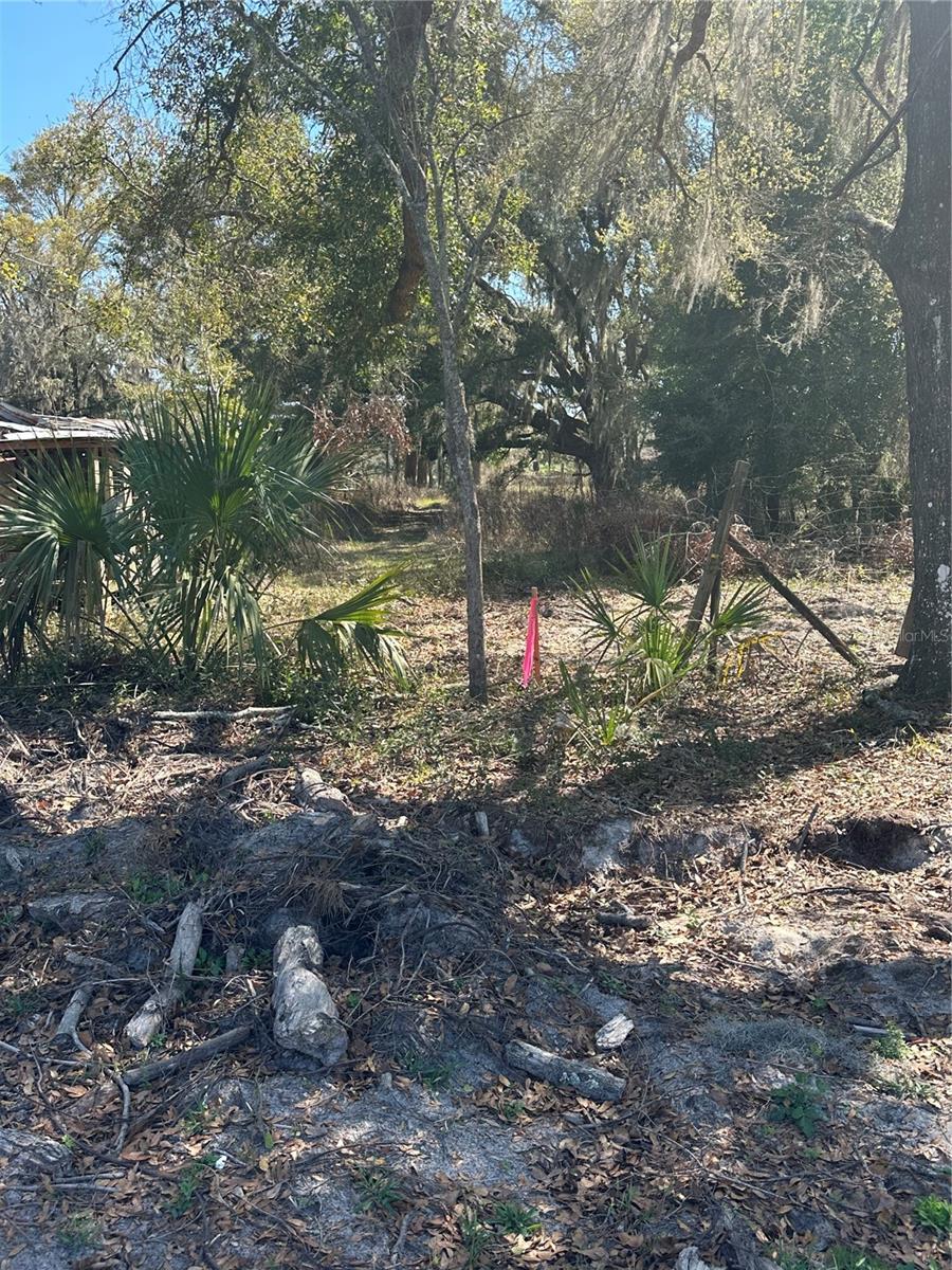 Ne 688th Ave Property Photo 11