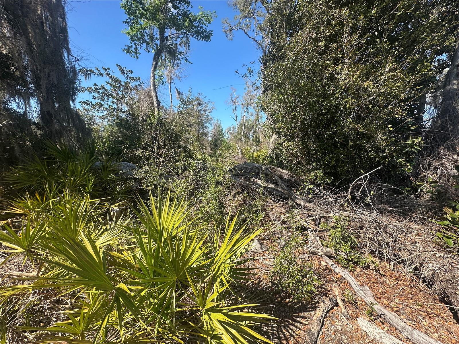 Ne 688th Ave Property Photo 16