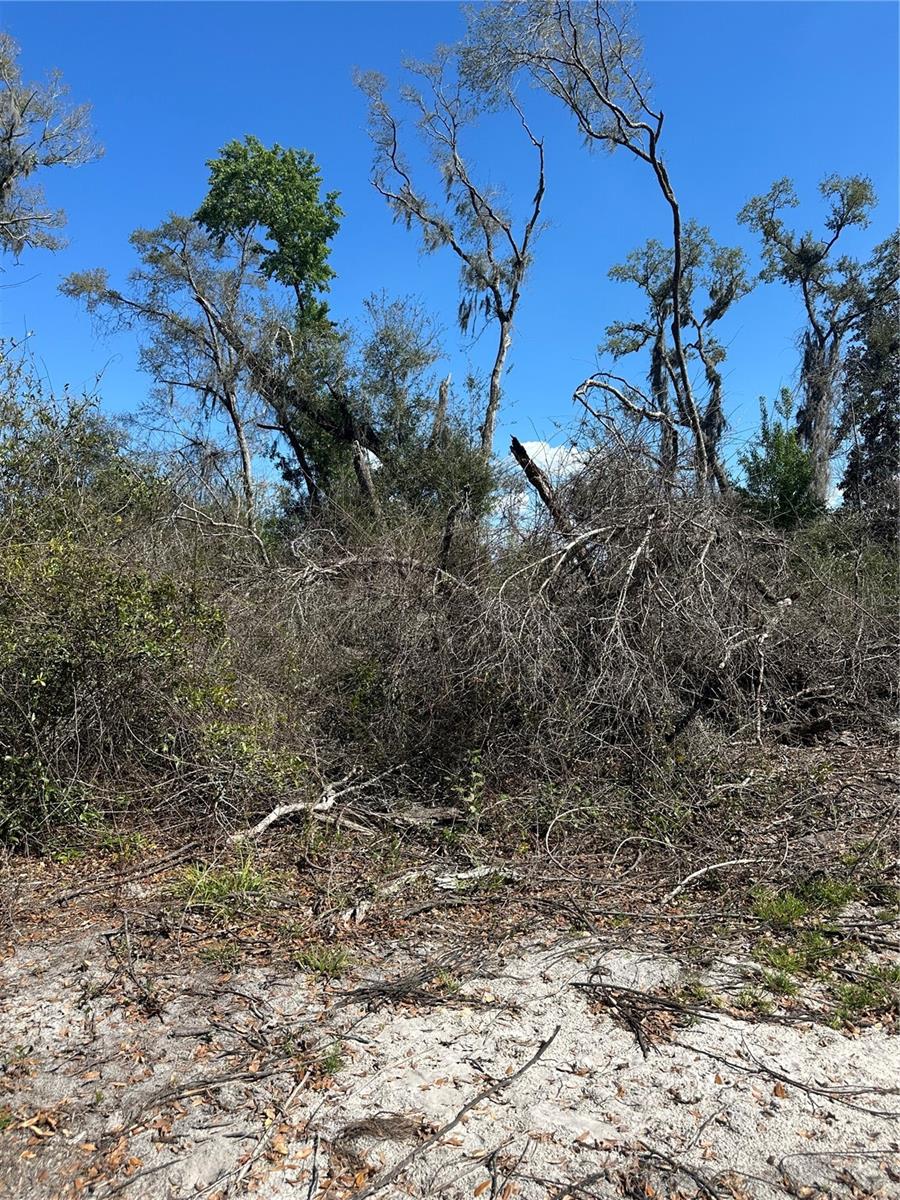 Ne 688th Ave Property Photo 19
