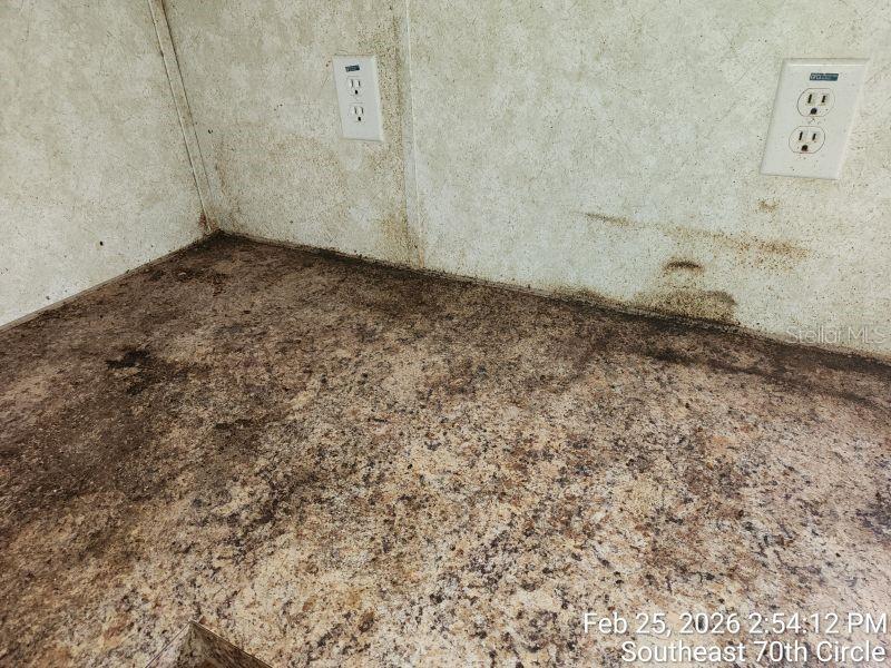 213 Se 70th Cir Property Photo 8