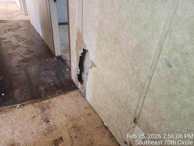 213 Se 70th Cir Property Photo 22