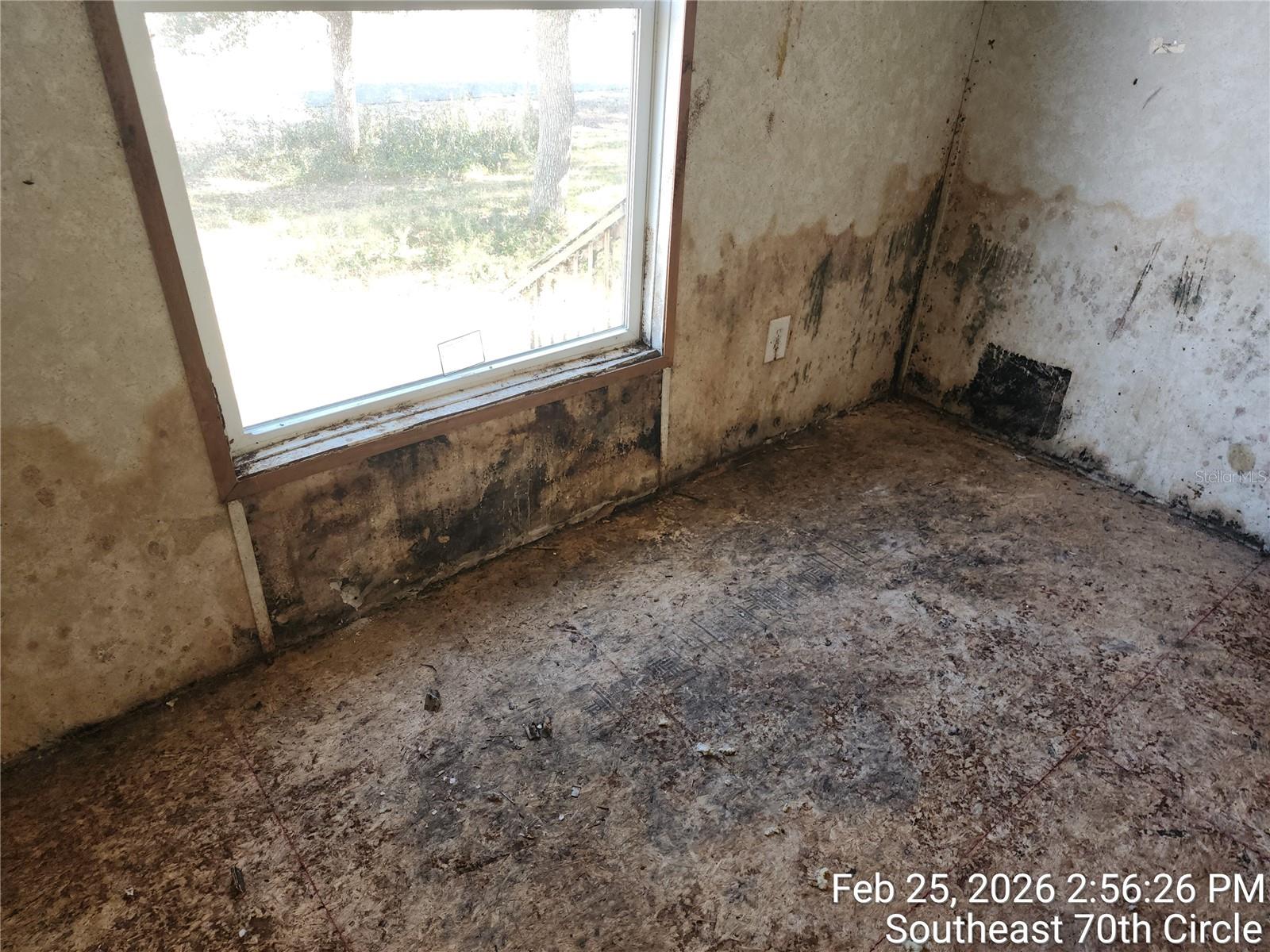 213 Se 70th Cir Property Photo 24