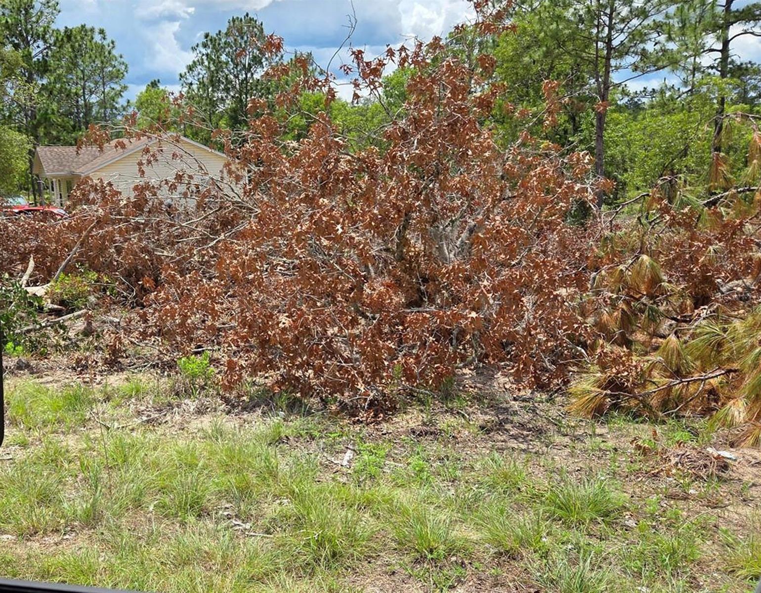 Tbd Ne 14th Pl Property Photo 2