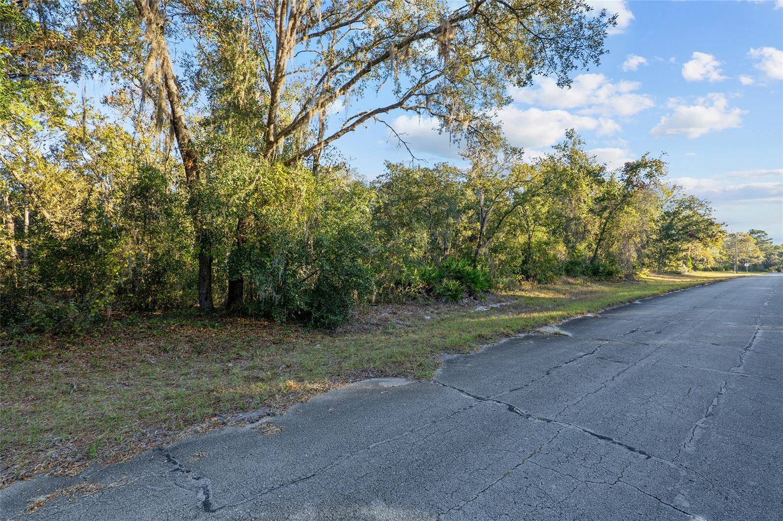 Tbd Sw 174 Pl Property Photo 1