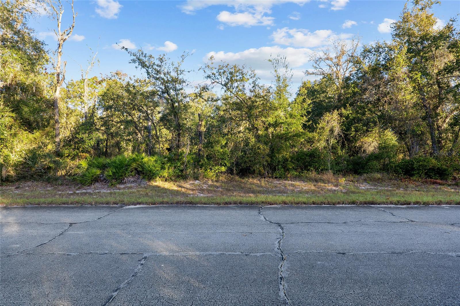 Tbd Sw 174 Pl Property Photo 2