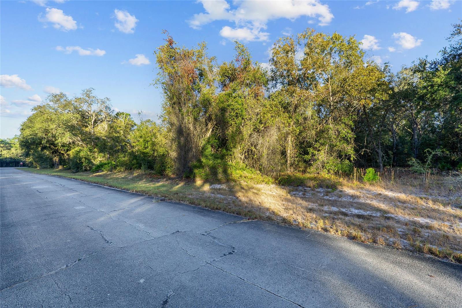 Tbd Sw 174 Pl Property Photo 5