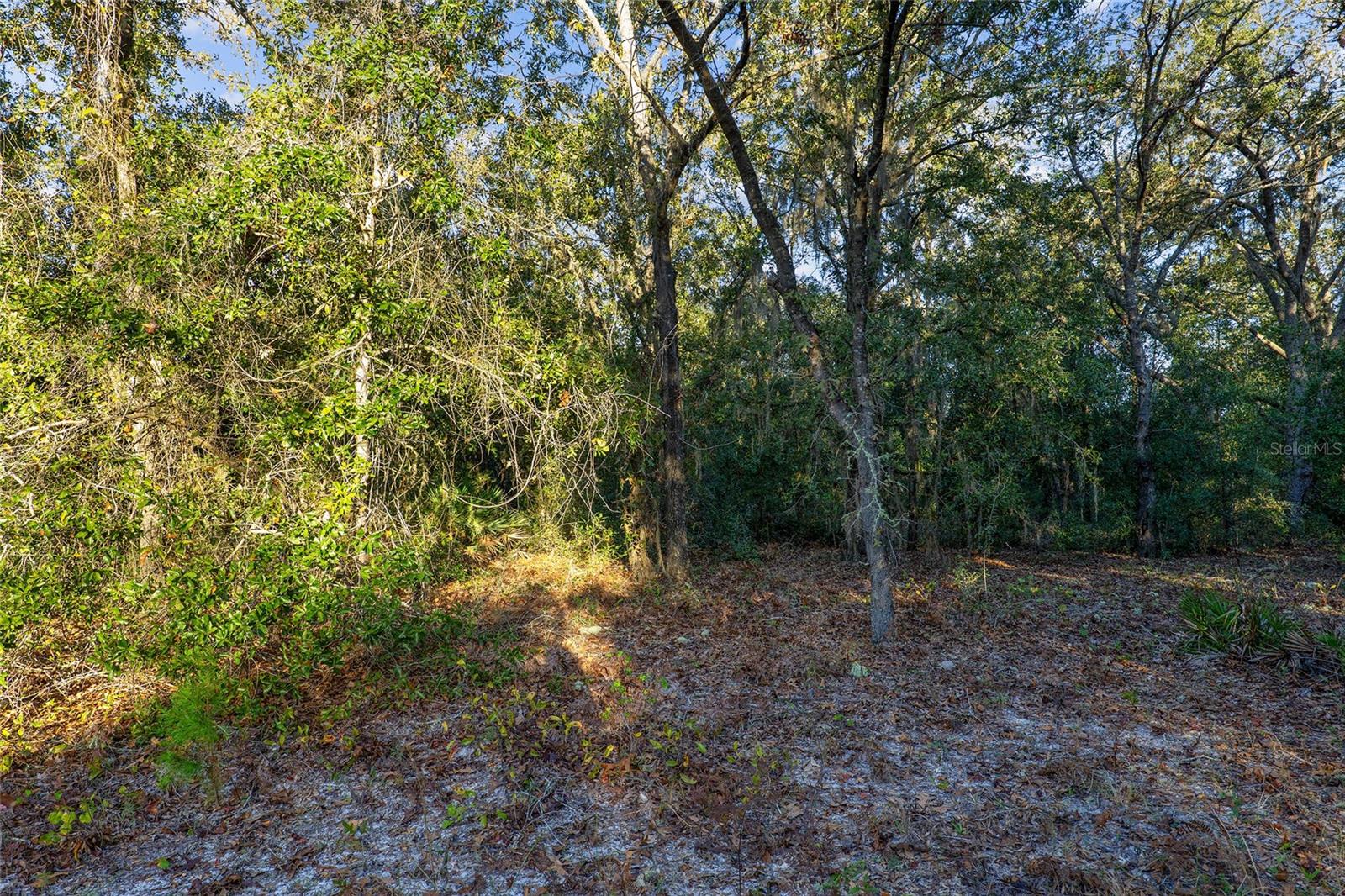 Tbd Sw 174 Pl Property Photo 6