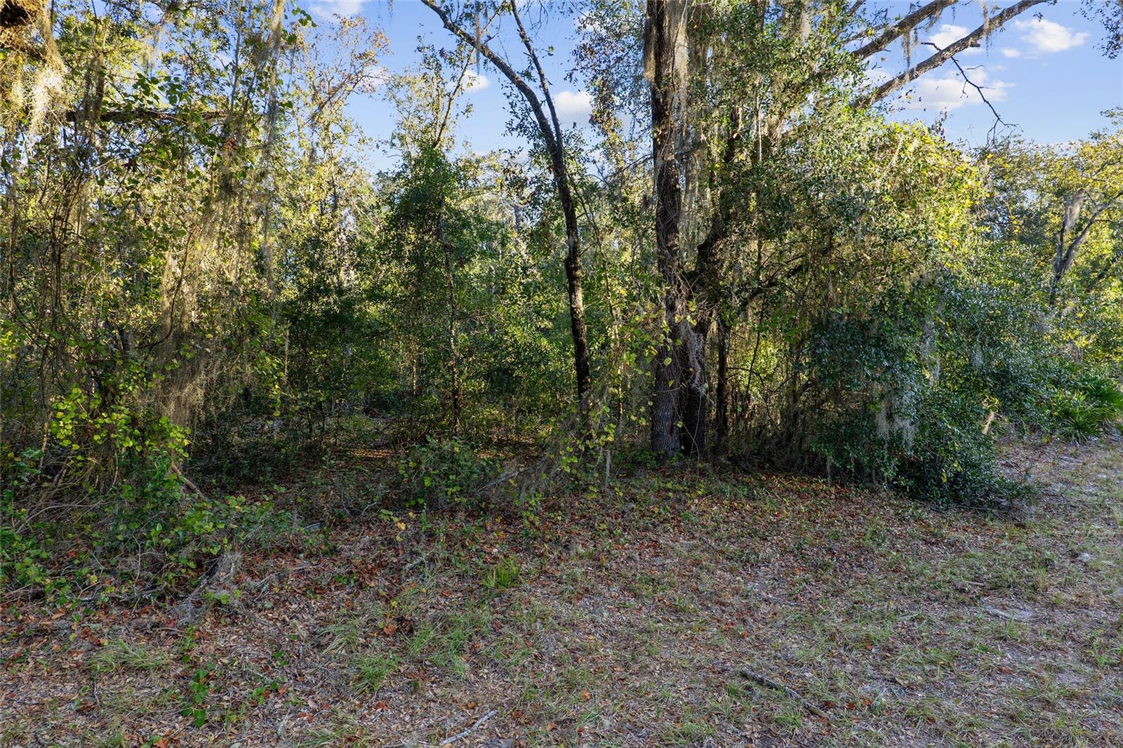 Tbd Sw 174 Pl Property Photo 7
