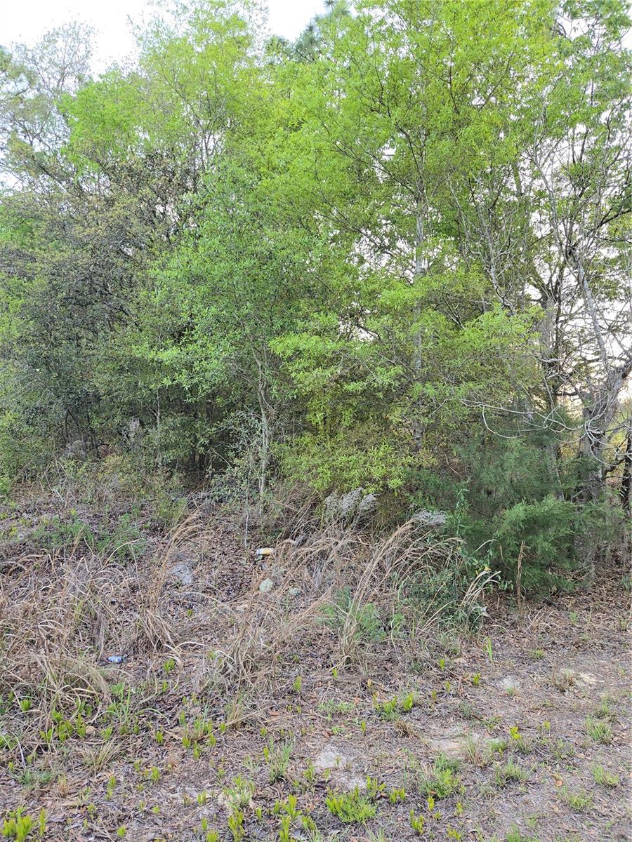 Tbd Sw 27 St Property Photo 4