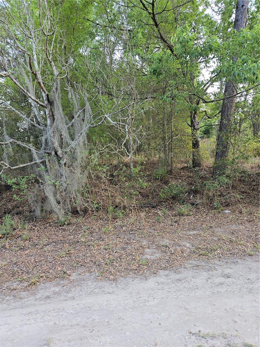 Tbd Sw 27 St Property Photo 5