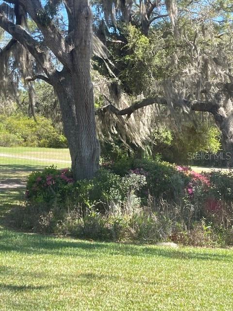 666 Midway Dr #a Property Photo 29
