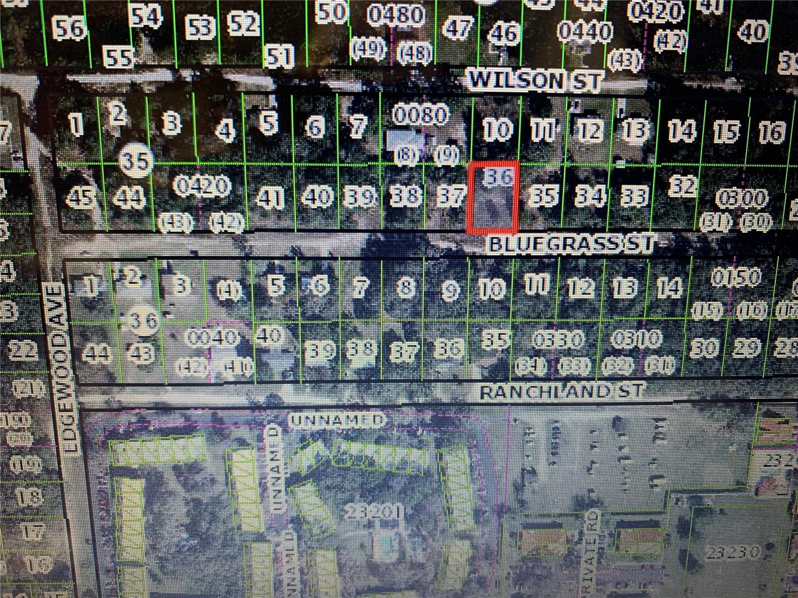 2406 Bluegrass St Property Photo 3