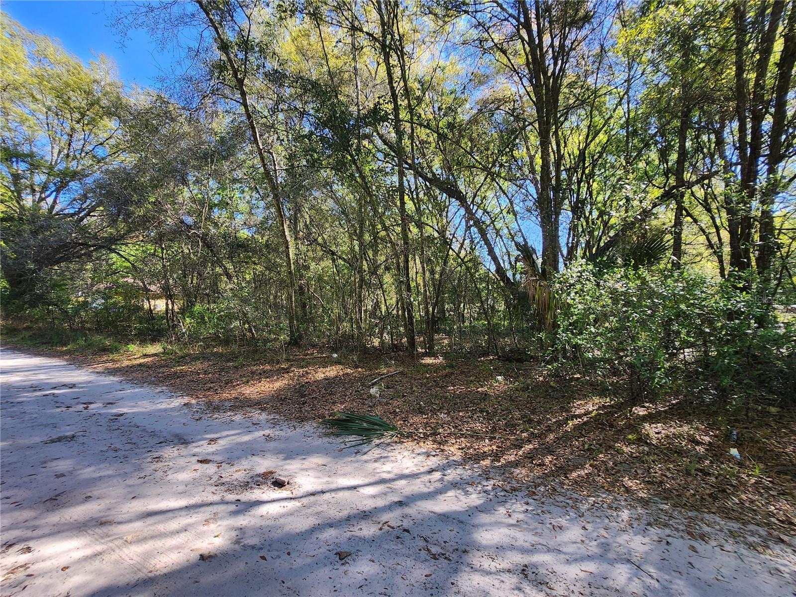 Tbd Se 36th Ct Property Photo 3