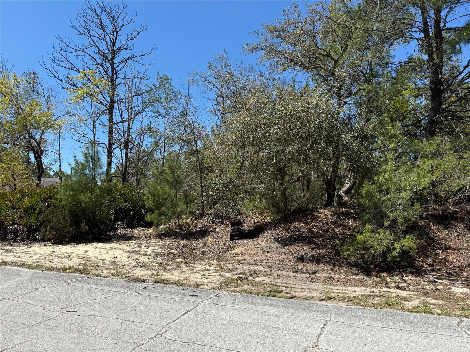 10762 N Moreno Dr Property Photo 1