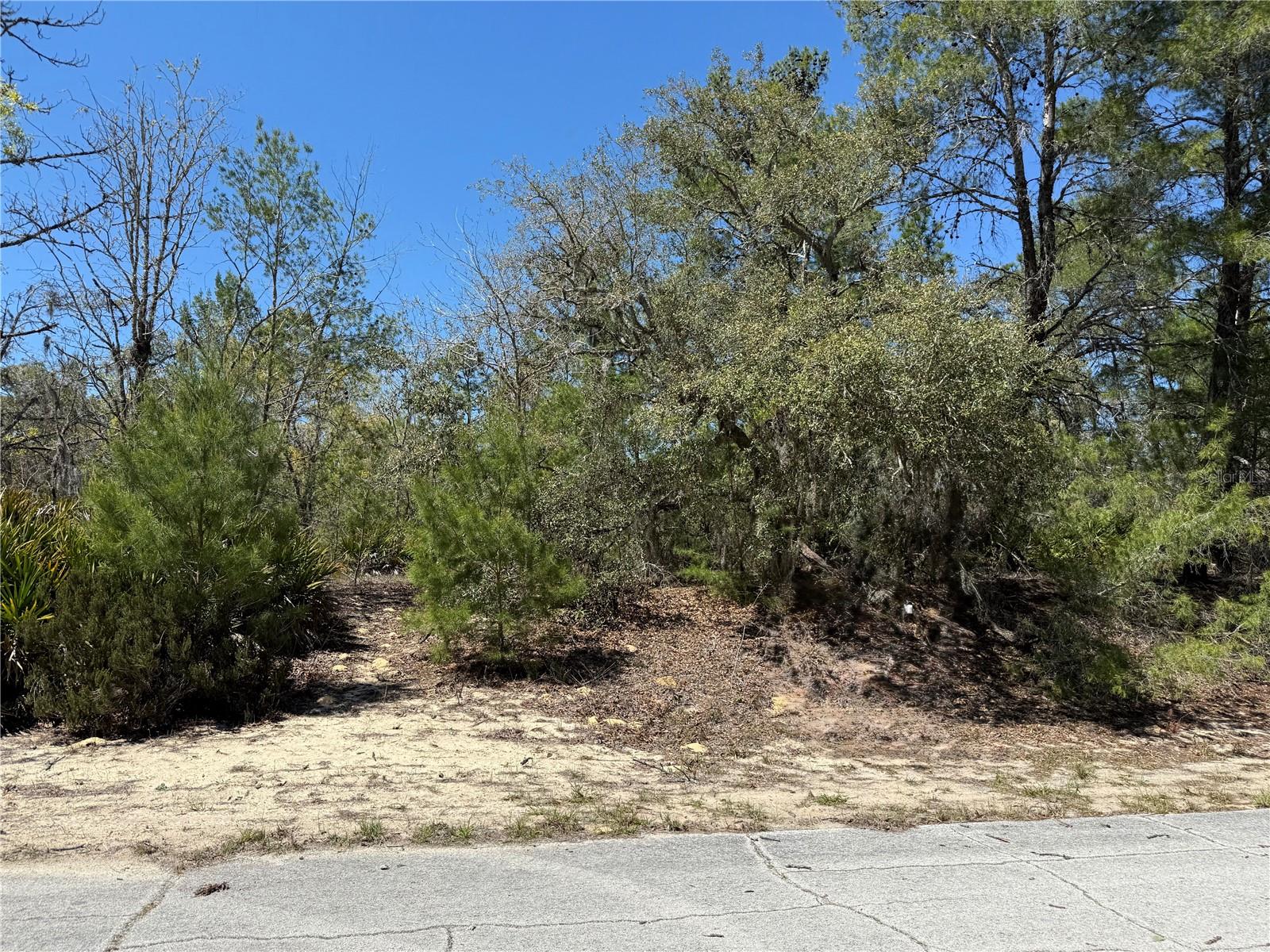 10762 N Moreno Dr Property Photo 2