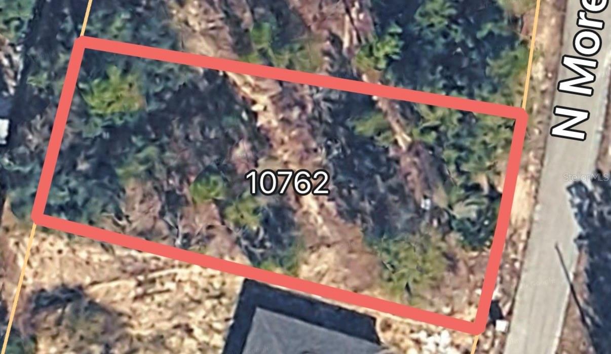 10762 N Moreno Dr Property Photo 3