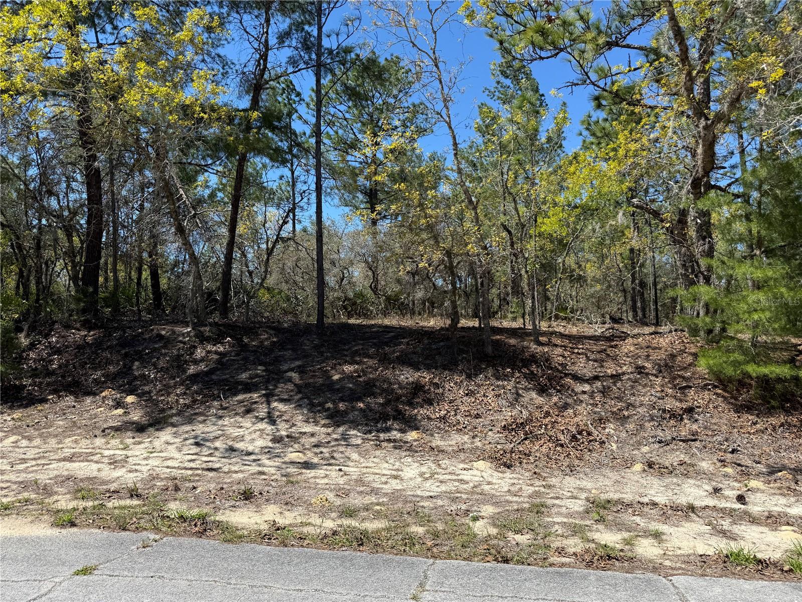 10776 N Moreno Dr Property Photo 1
