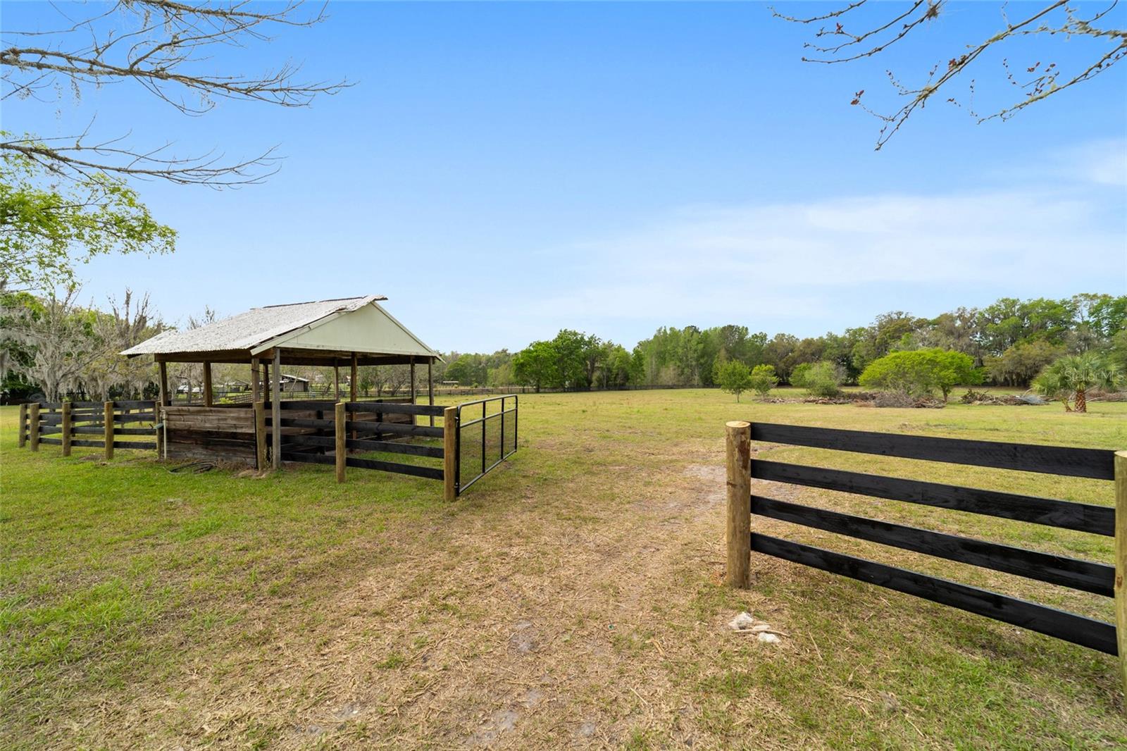 16638 N Highway 329 Property Photo 81