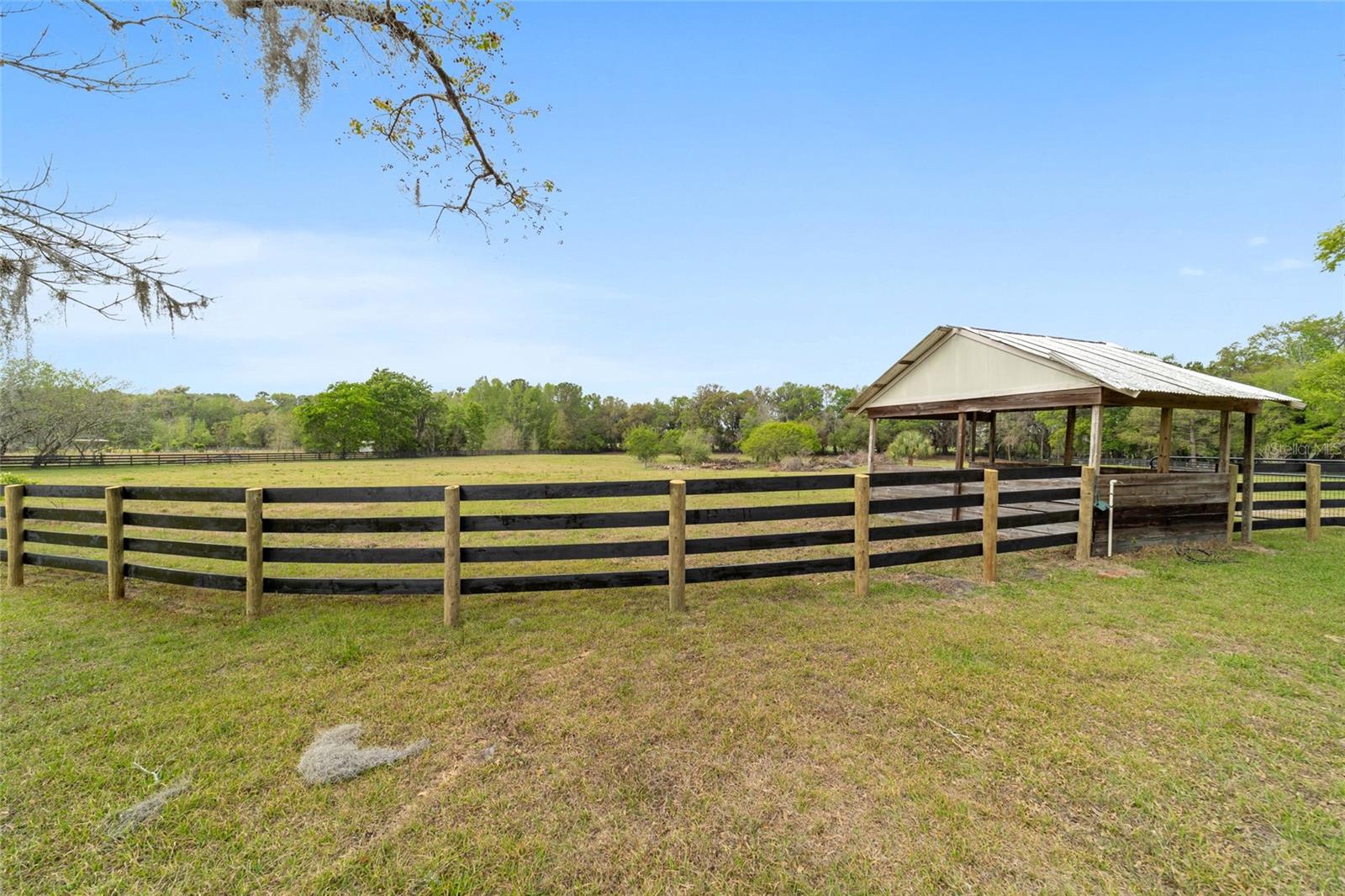 16638 N Highway 329 Property Photo 83