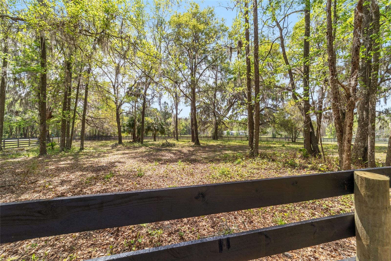 16638 N Highway 329 Property Photo 87