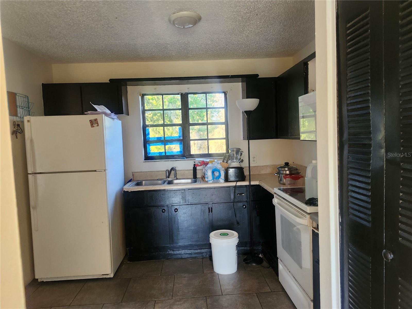 46 Palm Rd Property Photo 4