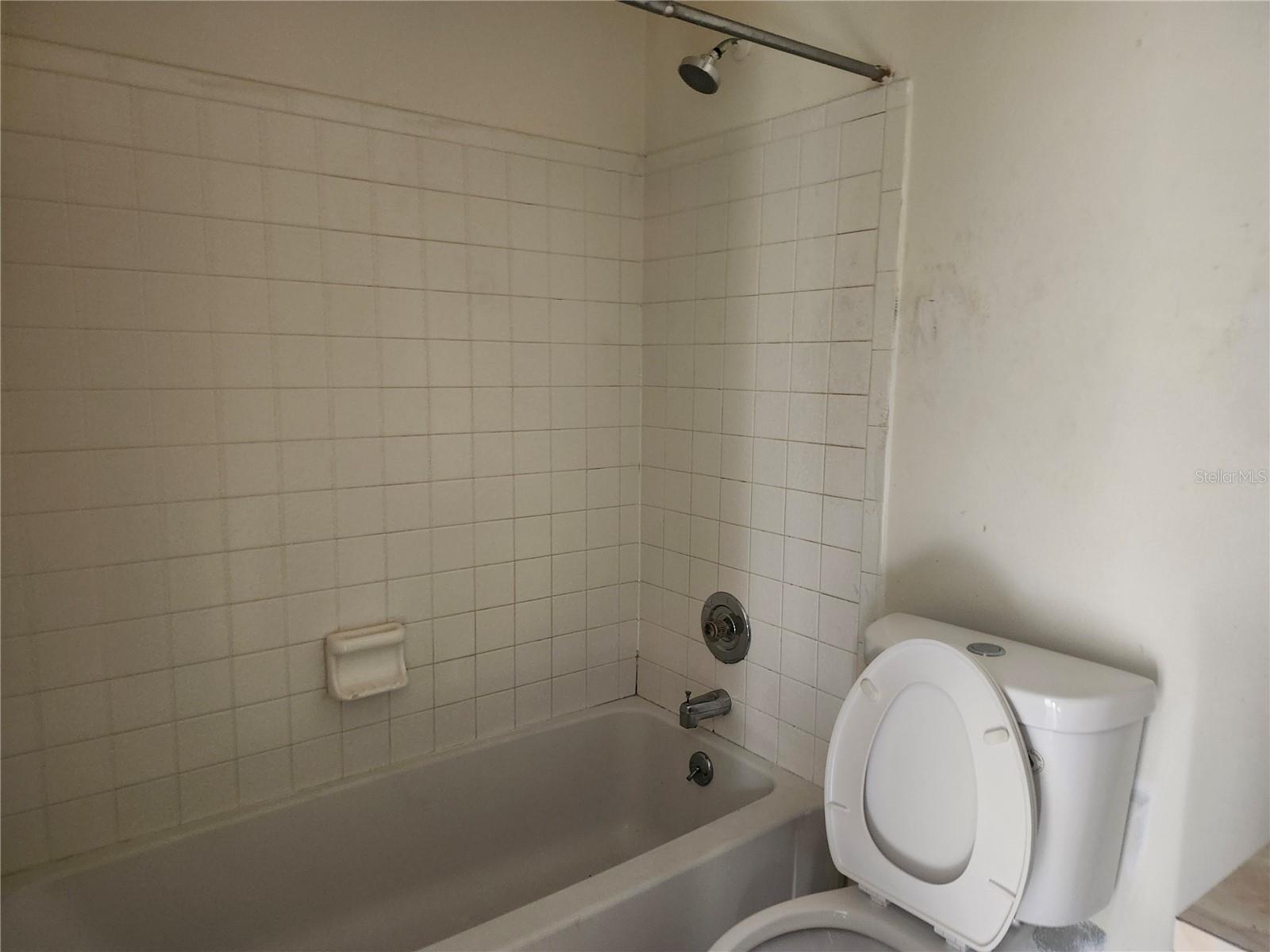 46 Palm Rd Property Photo 6
