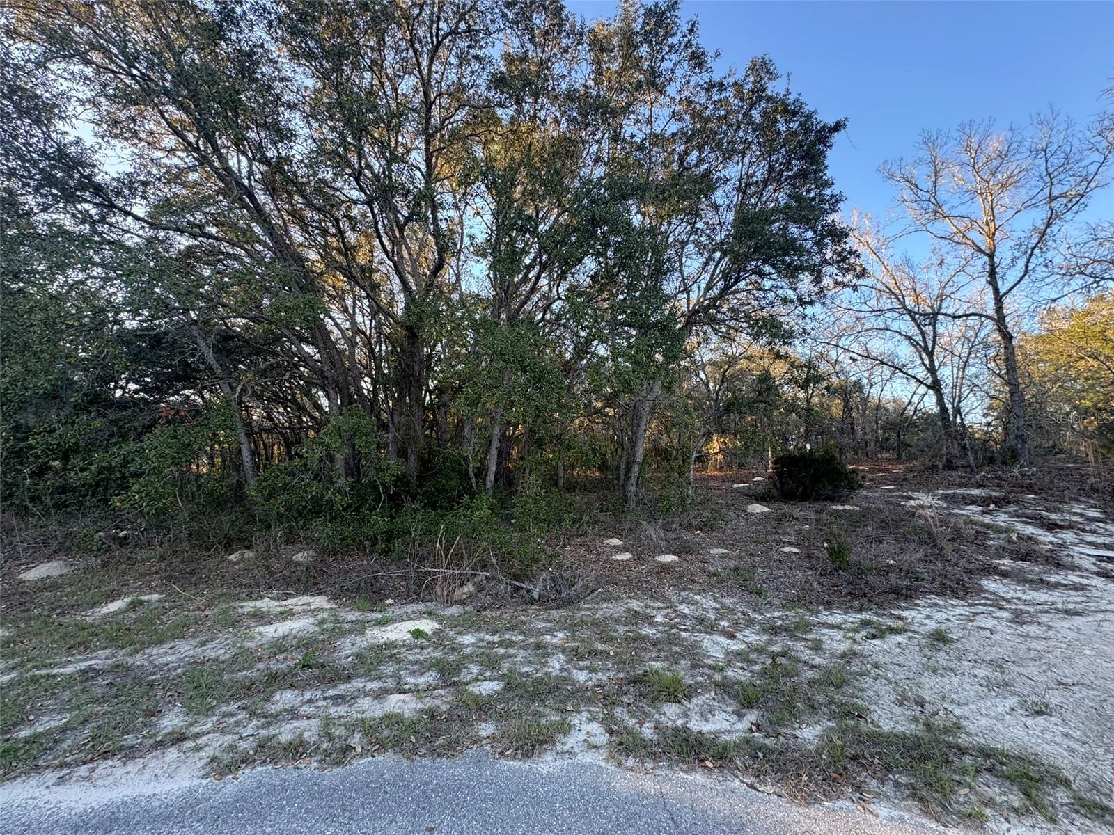0 Sw 147th Street Rd Property Photo 1