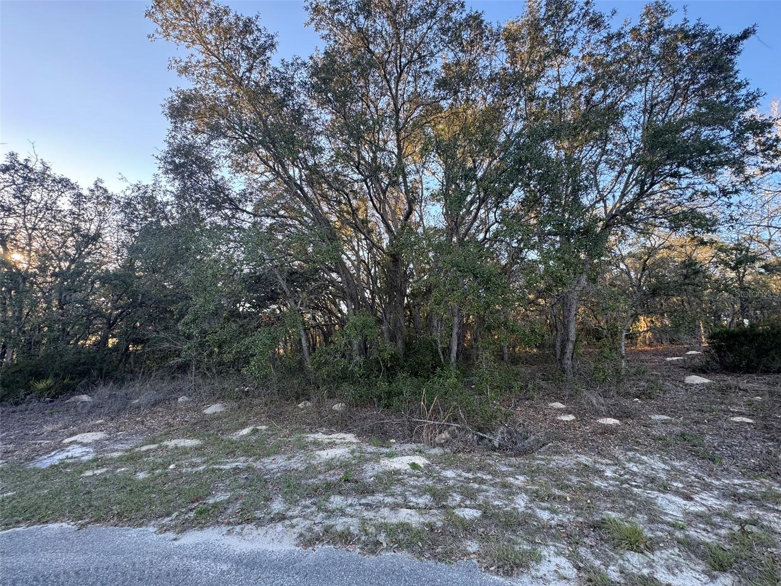 0 Sw 147th Street Rd Property Photo 3