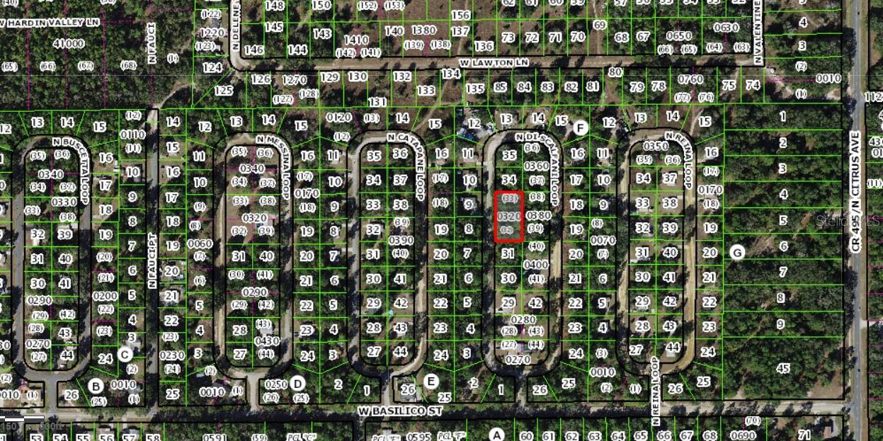 8646 N Discalfani Loop Property Photo 3