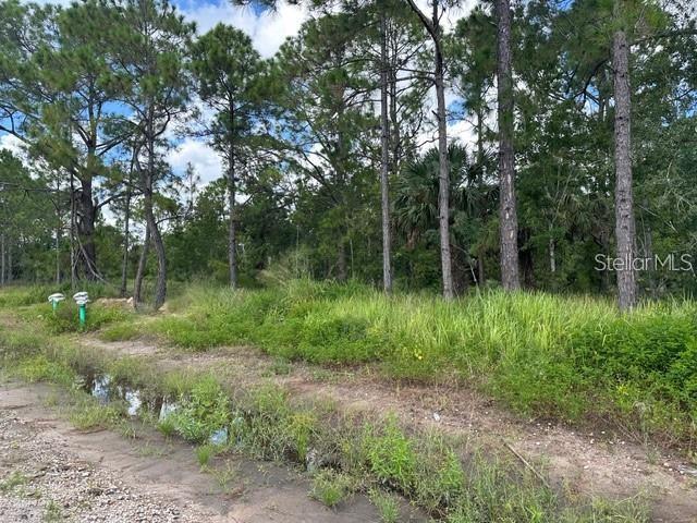 274 Spoonbill Dr Property Photo 2