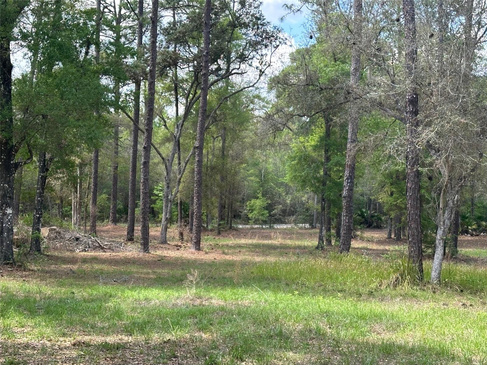 12501 Sw Highway 200 Property Photo 17